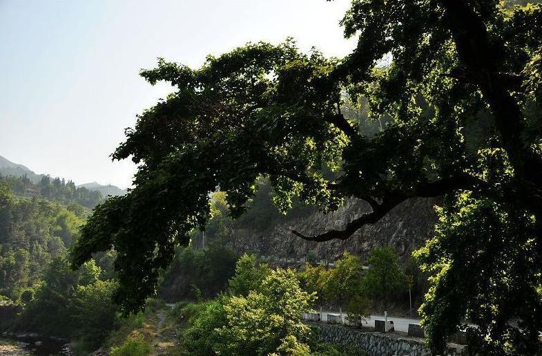 玉壺鎮後山一景