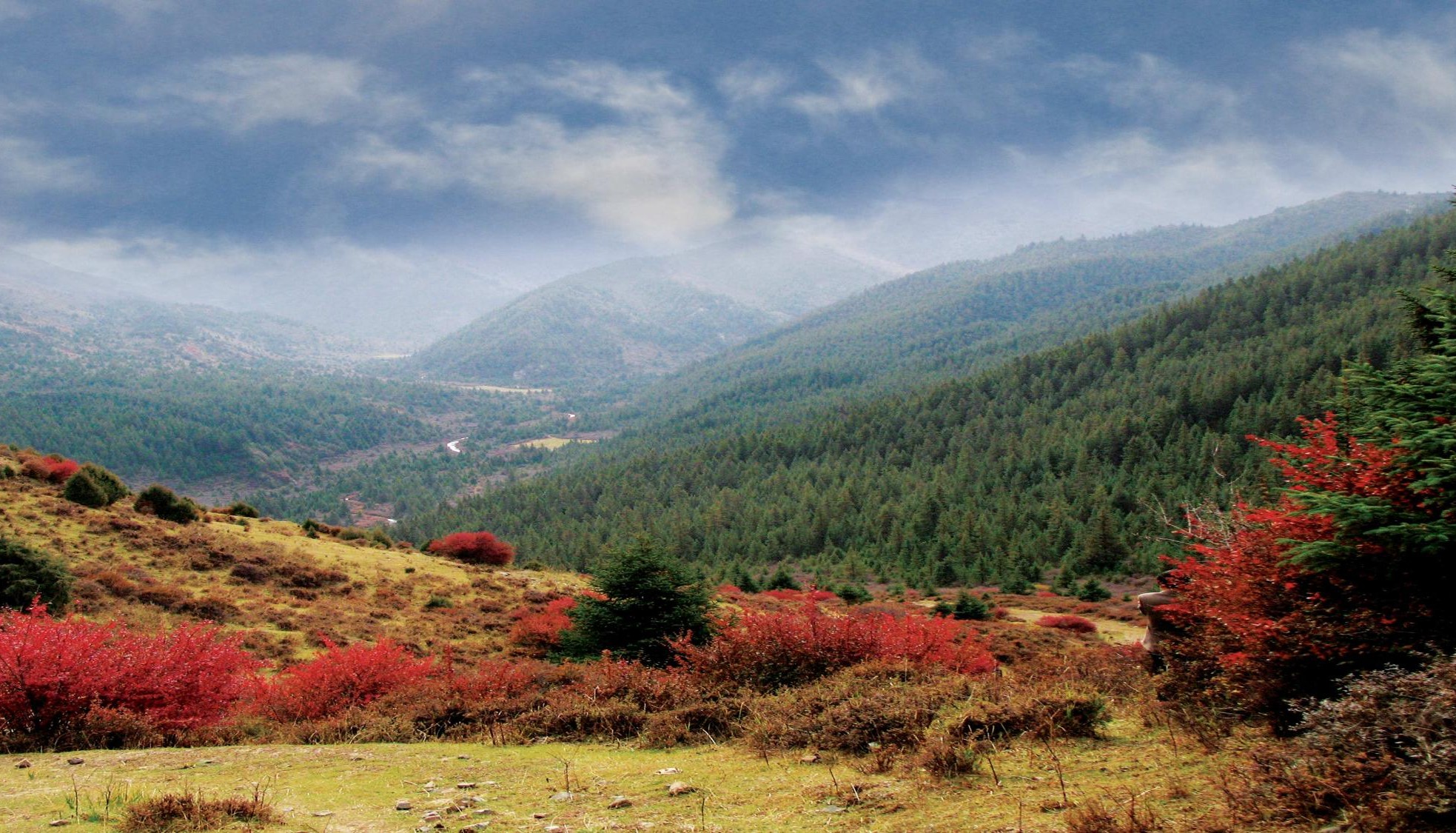 焉支山山嶺地形地點