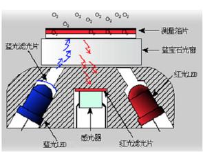 螢光法溶解氧