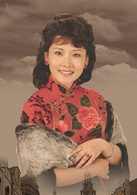 舞台姐妹(2006年梅婷主演電視劇電視連續劇)