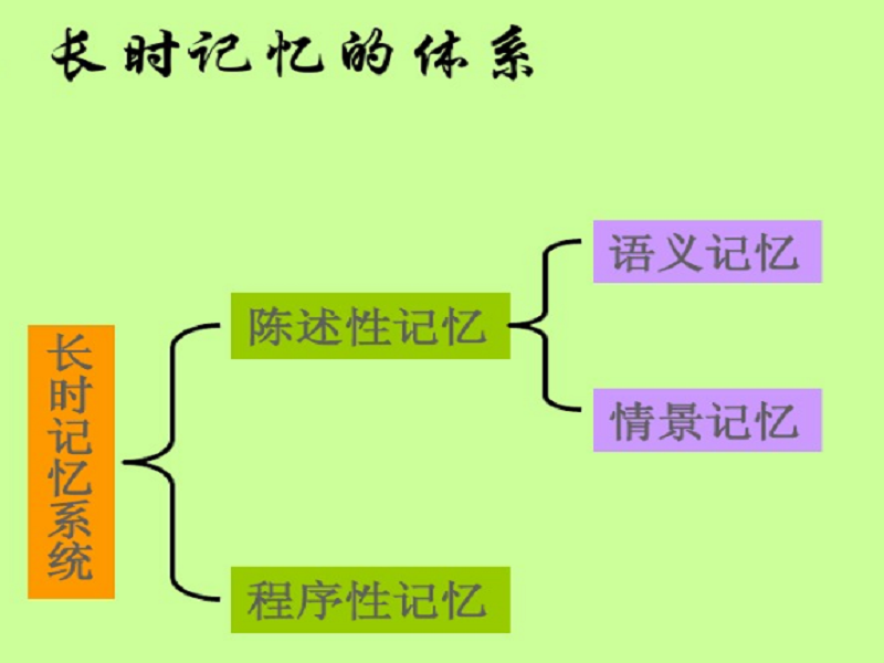 集合論模型