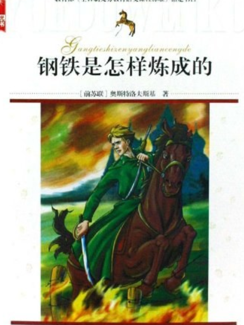 鋼鐵是怎樣練成的(2009年陝西旅遊出版社出版的圖書)