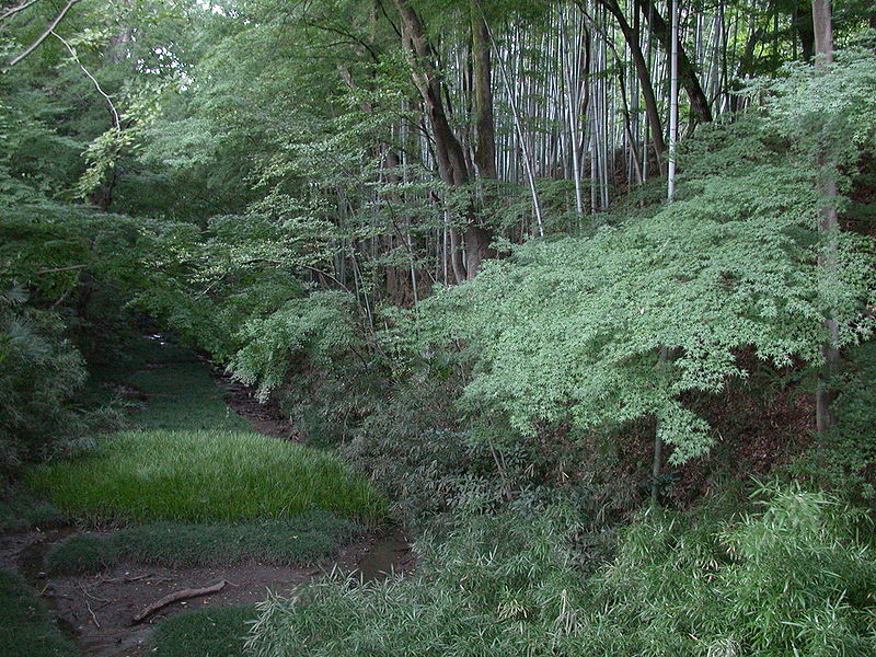 城闕遺蹟