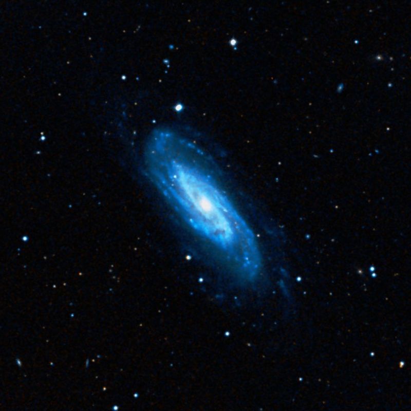 NGC 3198 DSS2 彩色圖