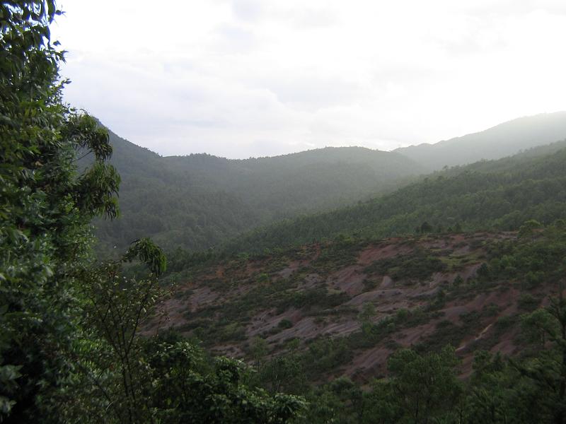 蒼嶺村生態林