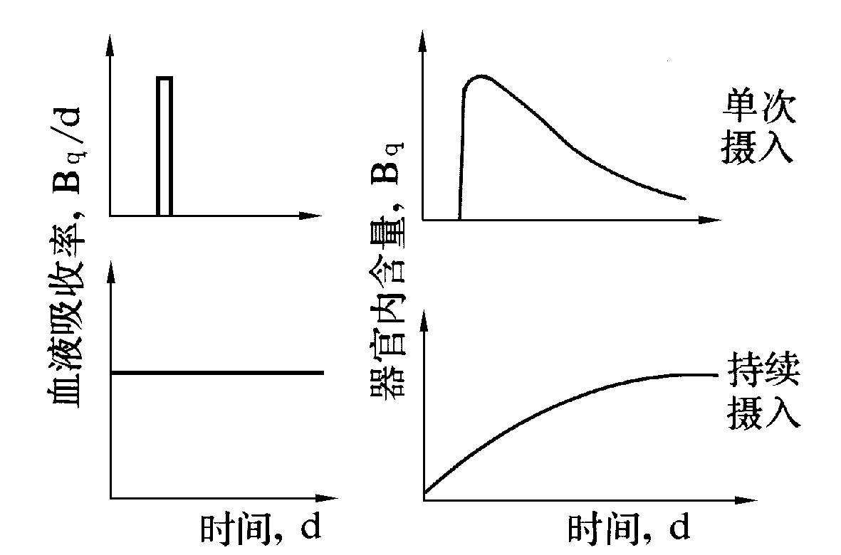 放射性核素體內代謝