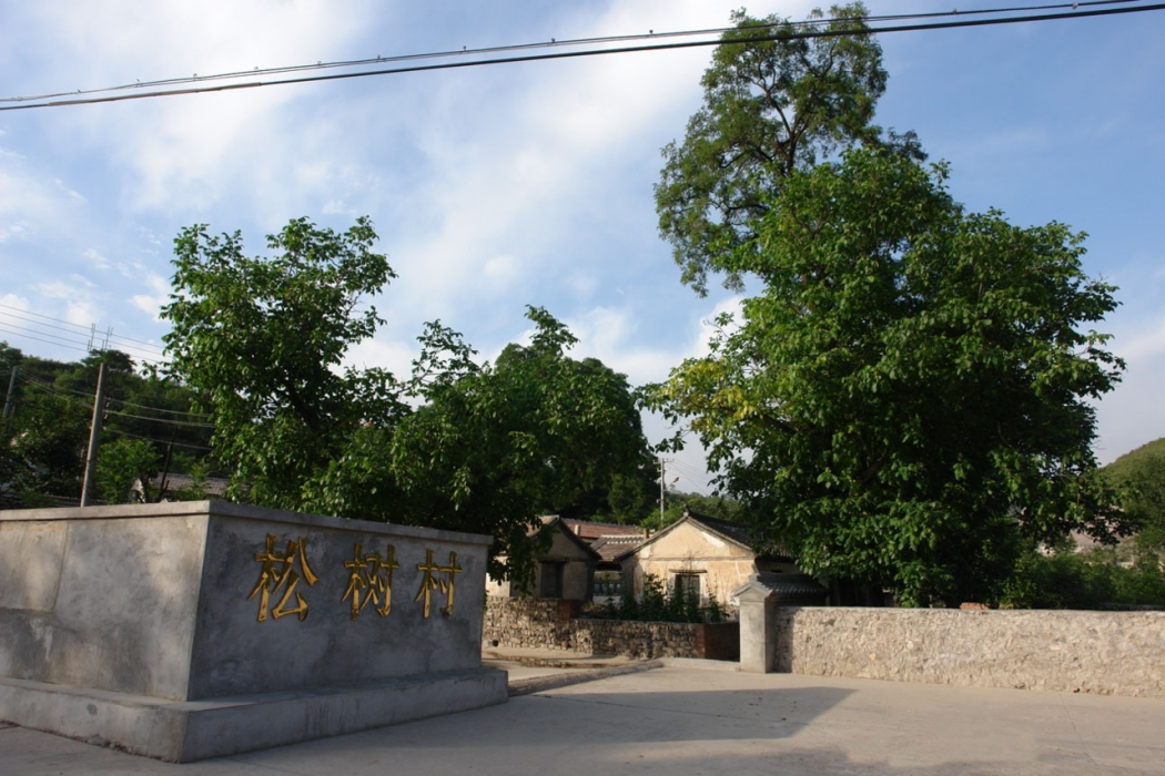 大松樹村(雲南景東縣太忠鄉下轄村)