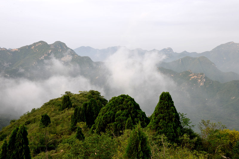 大楊山自然風景區