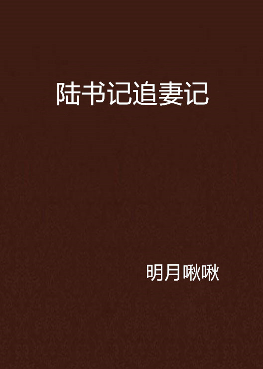 陸書記追妻記