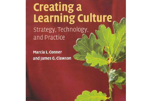 creating a learning culture