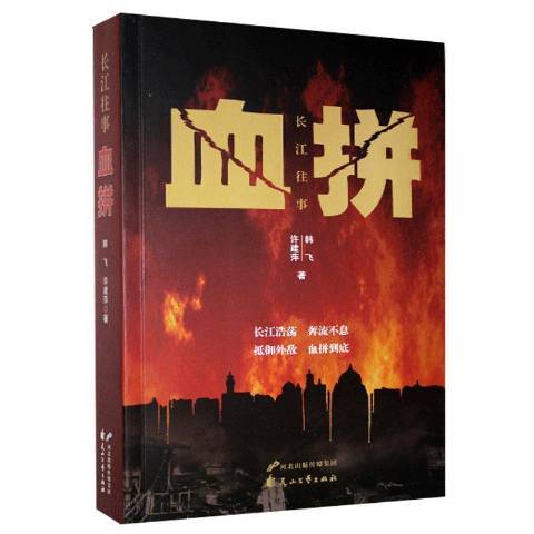 血拚(2020年花山文藝出版社出版的圖書)