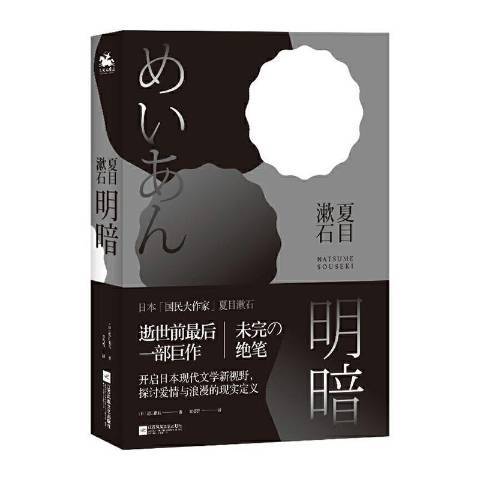 明暗(2020年江蘇鳳凰文藝出版社出版的圖書)