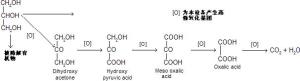 紫外催化濕式氧化技術