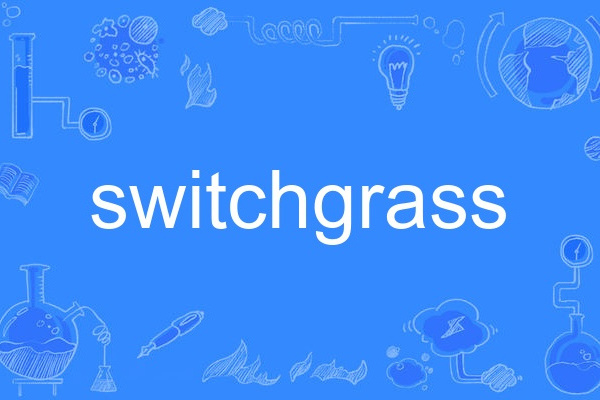 switchgrass