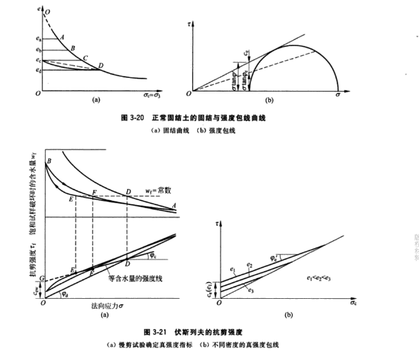 真粘聚力