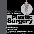 Plastic Surgery(Neligan, Professor Peter C.著圖書)