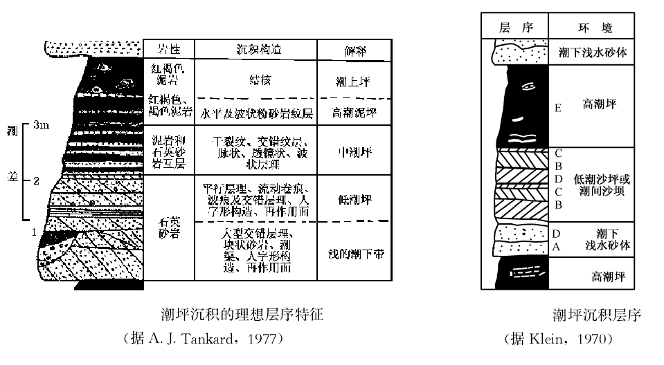 有障壁海岸沉積