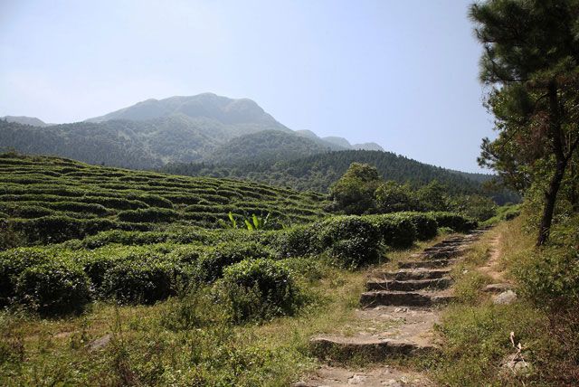 平天山高山風景區