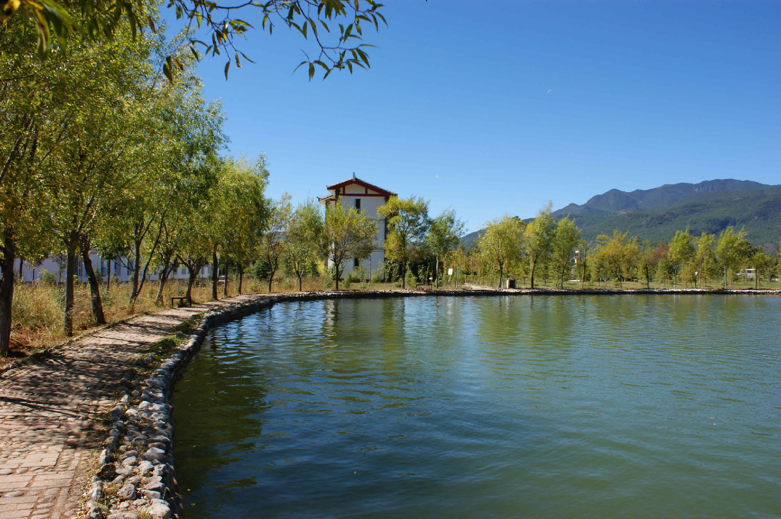 雲南大學旅遊文化學院