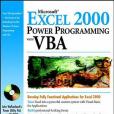 MS Excel 2000 Power Programming with VBA