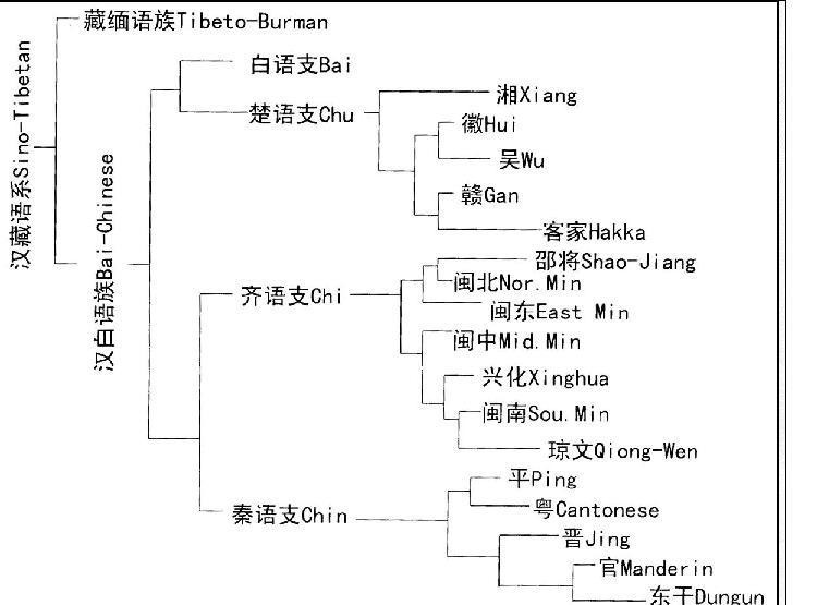 系屬