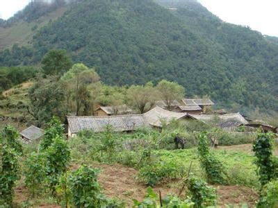 小坪子自然村(雲南省昆明東川區因民鎮下轄村)