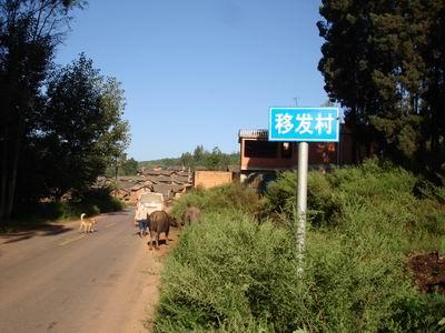 進村道路