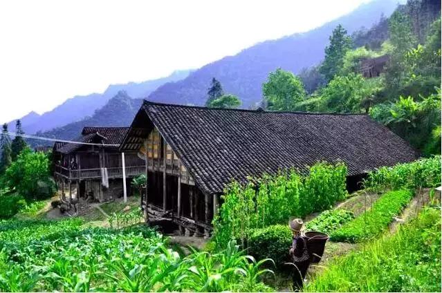 茶園村(貴州銅仁市印江縣新寨鎮茶園村)