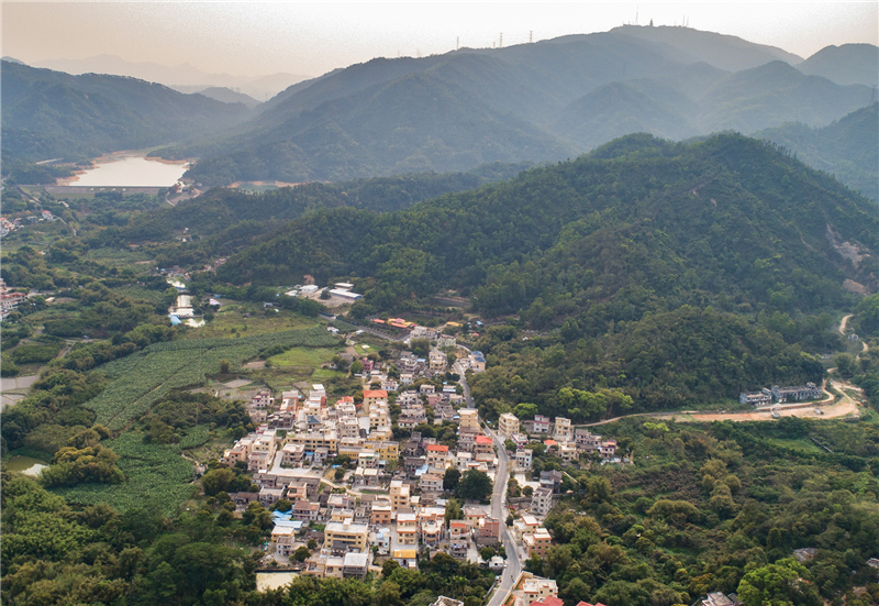 田心村