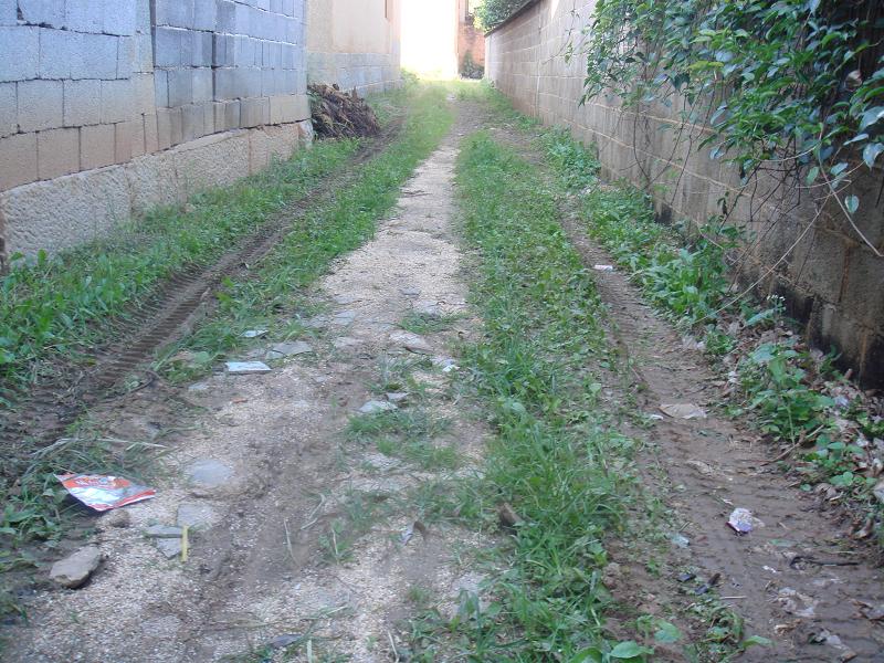 團樹二自然村村內道路