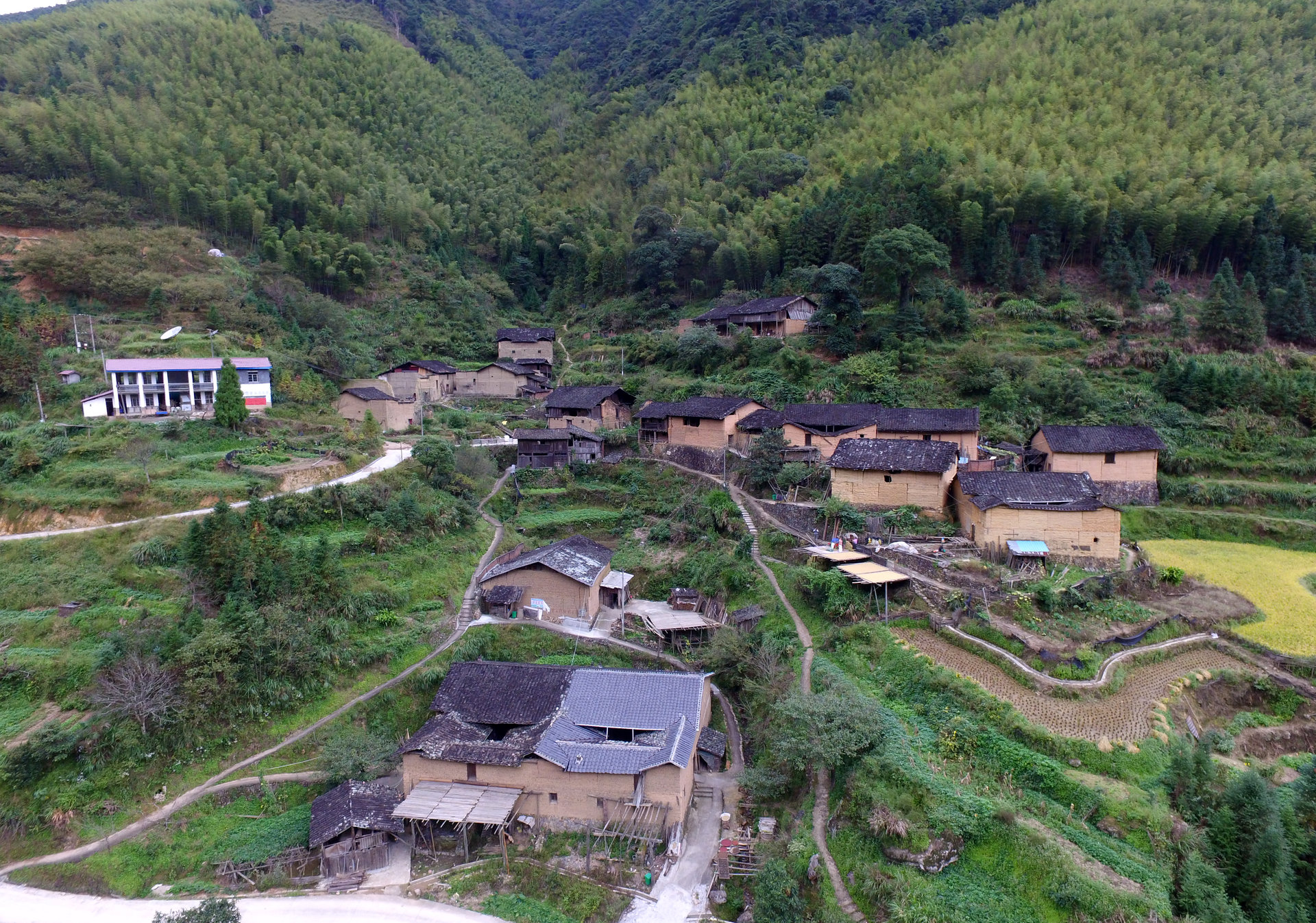 溪頭村(福建省政和縣外屯鄉溪頭村)