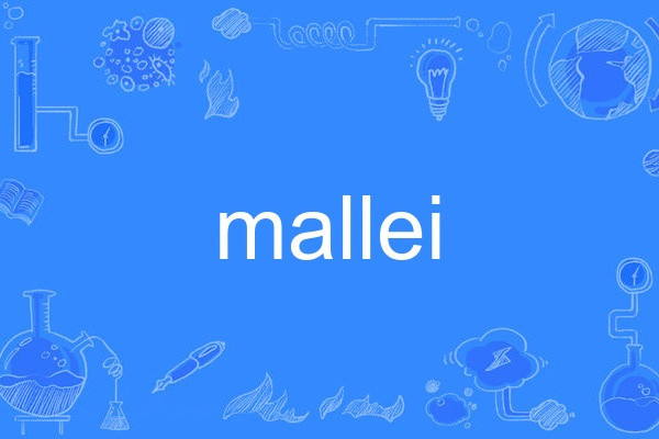 mallei