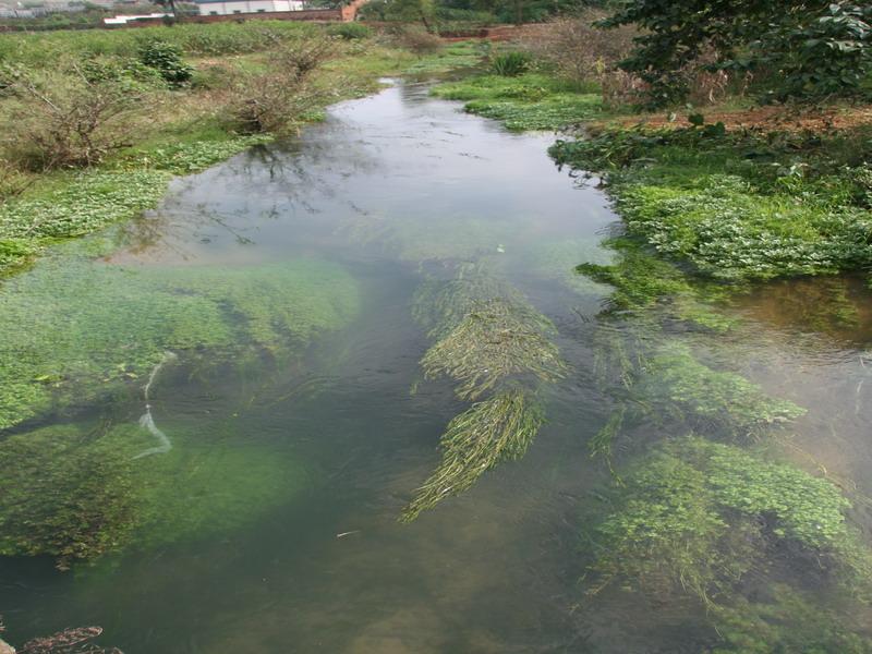 東海子村