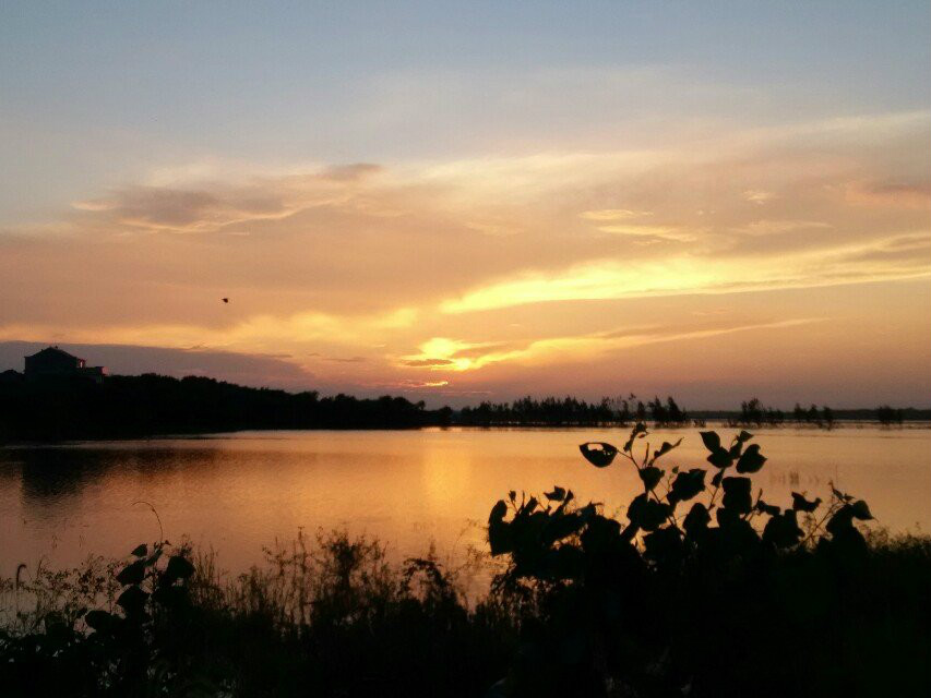 九成畈的風景圖片