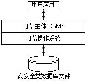 資料庫系統安全