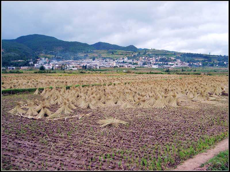 石麟安南村