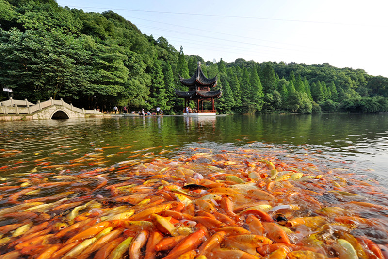 瀘州市忠山公園