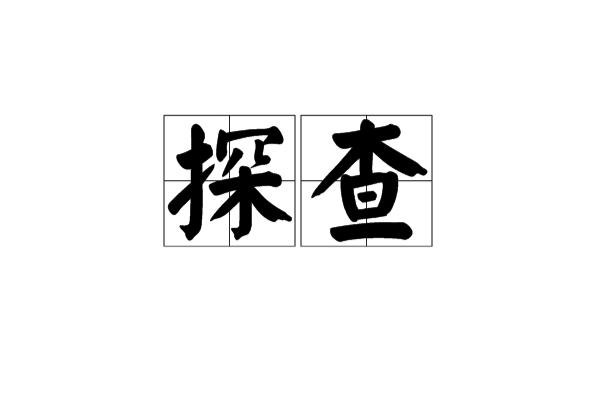 探查(詞語)