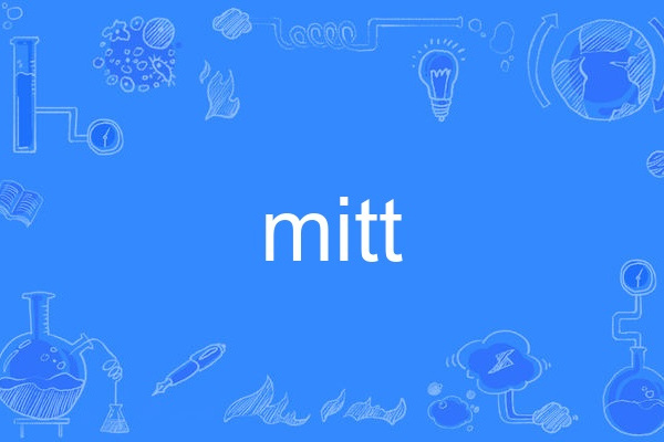 mitt