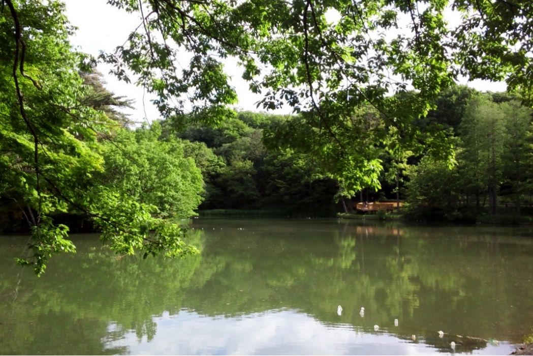 東京都立狹山自然公園