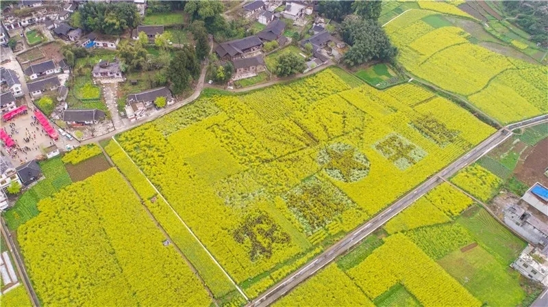 平原鎮(貴州省銅仁市德江縣下轄鎮)