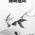 爆萌痞妃(梨溪著網路小說)