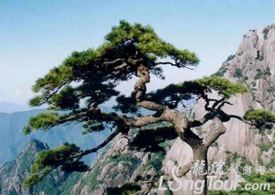 黃山市風景區旅遊集散中心