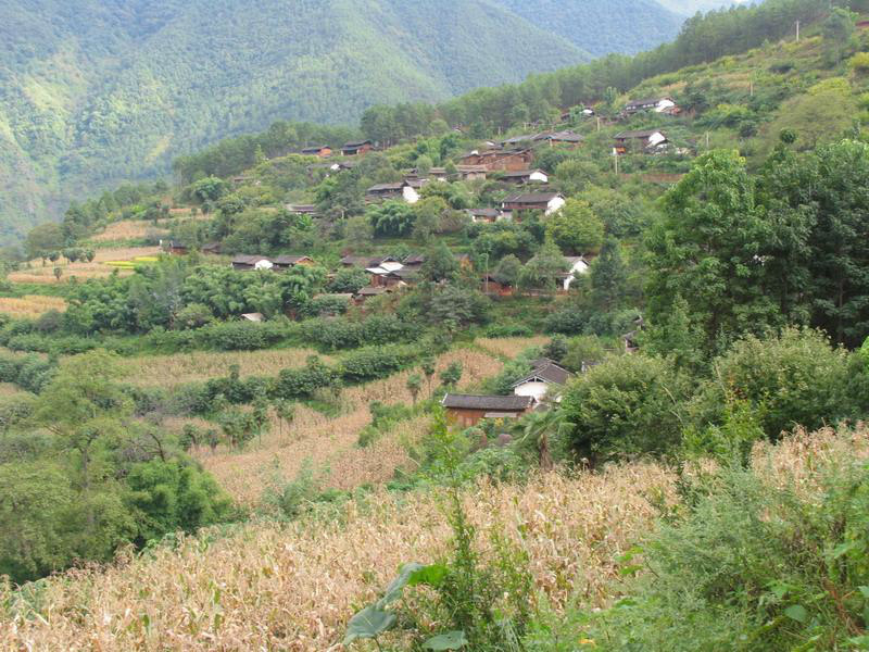 大福地村委會