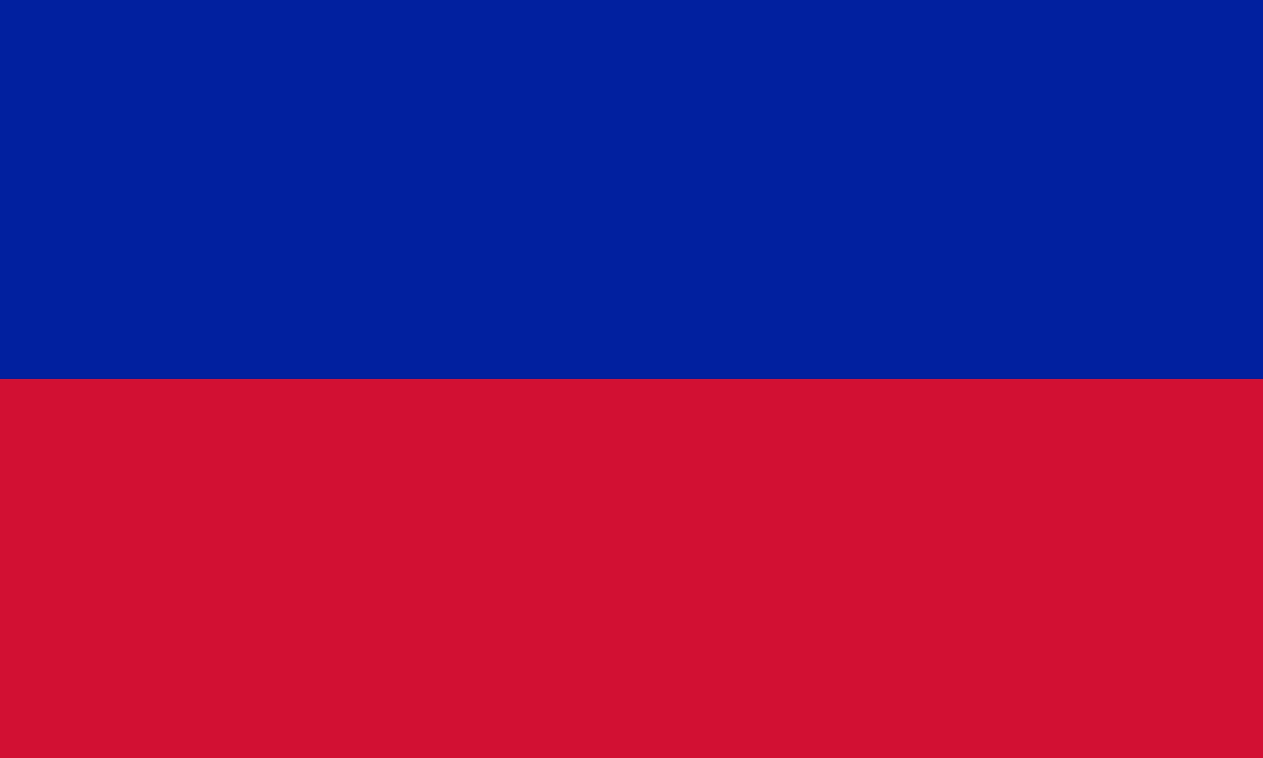 海地共和國國旗