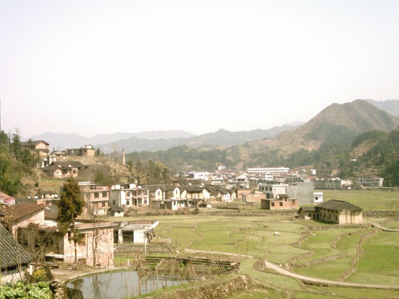 東山鄉(青海省海東市互助土族自治縣下轄鄉)