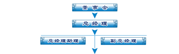 山東光彩銀星拍賣有限公司