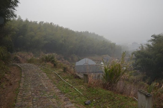 東山嶺古道