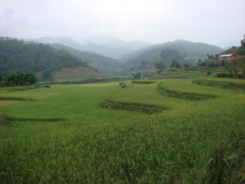 大田房自然村