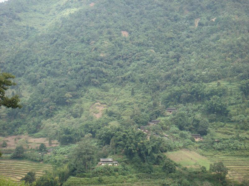 大擺田自然村(雲南臨翔區圈內鄉下轄村)